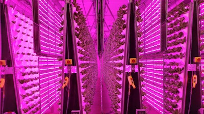 The “Air Grown” vertical system at Living Greens Farm reduces the need for land, energy, water, and space. The company grows leafy greens such as Romaine, Butter Lettuce, mixed greens, and basil.