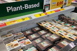 Plant Based Meat