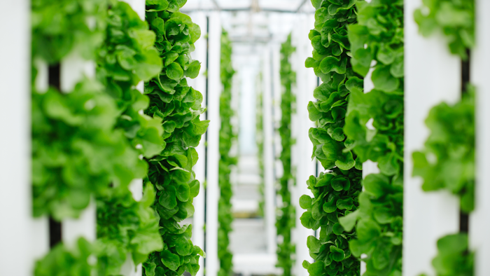 Vertical Farm