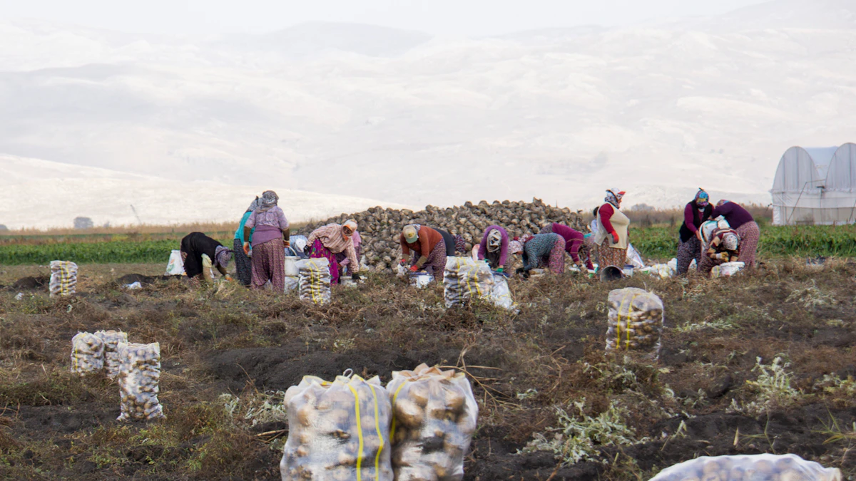 iStock_1062045884.5f2c713442a7b.png?auto