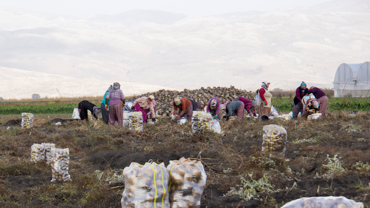 iStock_1062045884.5f2c713442a7b.png?auto