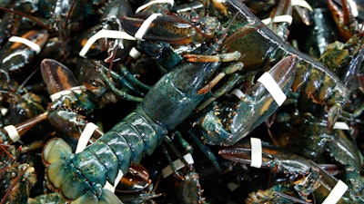 In this March 13 file photo, lobsters await shipping at a wholesale distributer in Arundel, ME.
