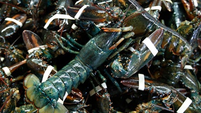 In this March 13, 2020 file photo, lobsters await shipping at a wholesale distributer in Arundel, Maine.
