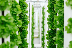 Vertical Farm