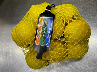 Lemon Mesh 174551 Rp 2