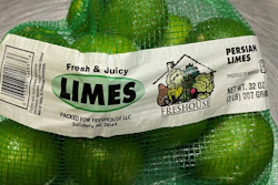 Lime Mesh 174572 Rp 1