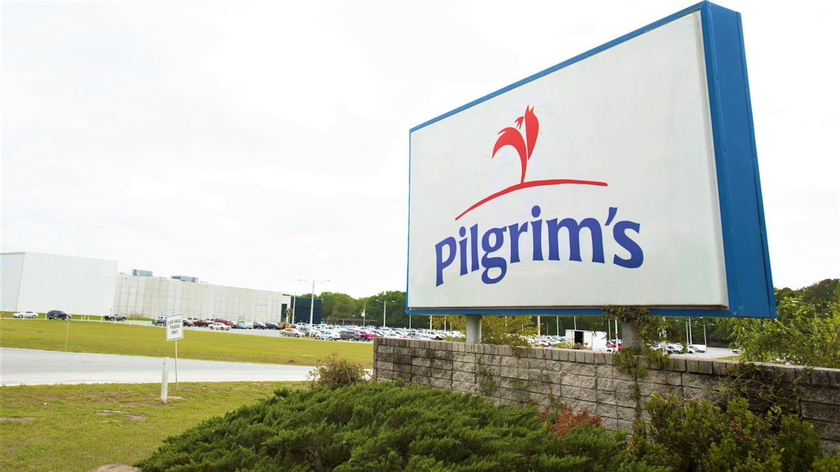 67648416_440954010082917_491210640082337