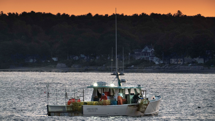 The crew on a lobster boat hauls traps at sunrise on Sept. 21 off Portland, Maine.