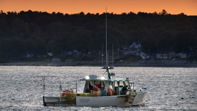 The crew on a lobster boat hauls traps at sunrise on Sept. 21 off Portland, Maine.