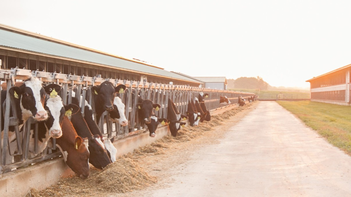 The Innovation Center for U.S. Dairy
