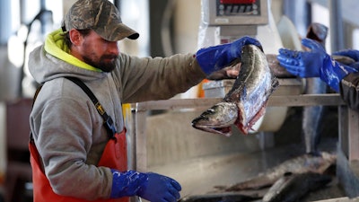 In this March 25, 2020 file photo, a worker weighs and sorts pollack at the Portland Fish Exchange in Portland, Maine.