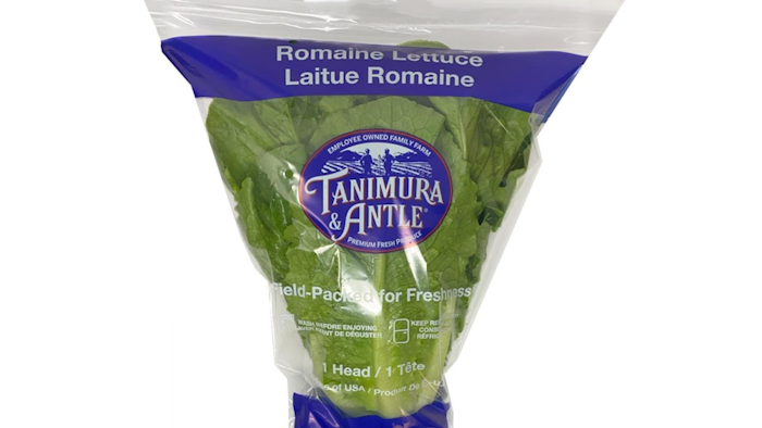 Single Head Romaine 2020