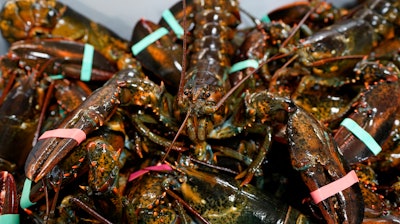 In this Nov. 18 photo, lobsters sit in a crate at a shipping facility in Arundel, Maine.