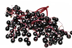 I Stock 1165564808