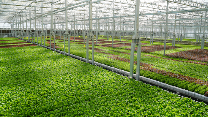 Biggest aquaponics farm in india Aquaponics Farming Market Expected to Grow faster according new Research Report by 2030