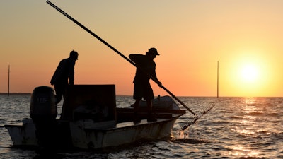 In this May 25, 2016 photo, the work day begins early for oyster harvesters in the Florida panhandle's Apalachicola Bay.
