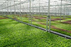 Gotham Greens operates one of the largest and most advanced networks of hydroponic leafy greens-producing greenhouses in North America, where the demand for indoor grown produce is rapidly increasing.