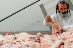 An Orthodox rabbi is checking the quality of poultry meat in a Kosher slaughterhouse in Csengele, Hungary on Jan. 15.