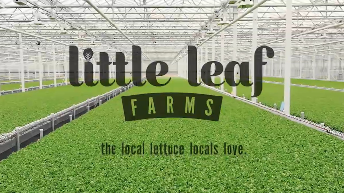 Little Leaf Farms