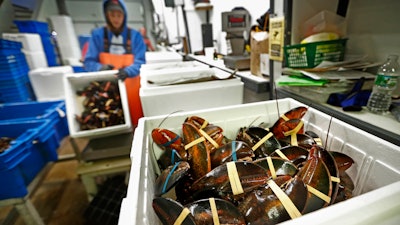In this Sept. 11, 2018 file photo, lobsters are packed at a shipping facility in Arundel, ME.