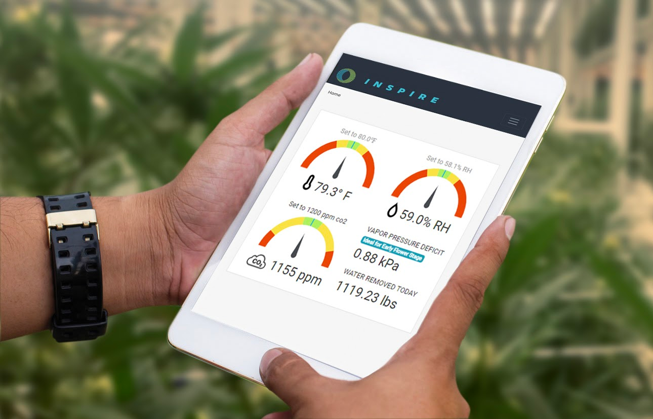 Integrated Room Automation helps cannabis cultivators improve environmental monitoring and control.