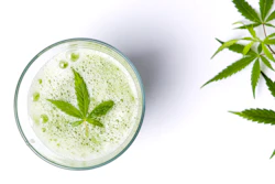 The global market for cannabis-based drinks is forecast to reach US$5.8bn by 2024.