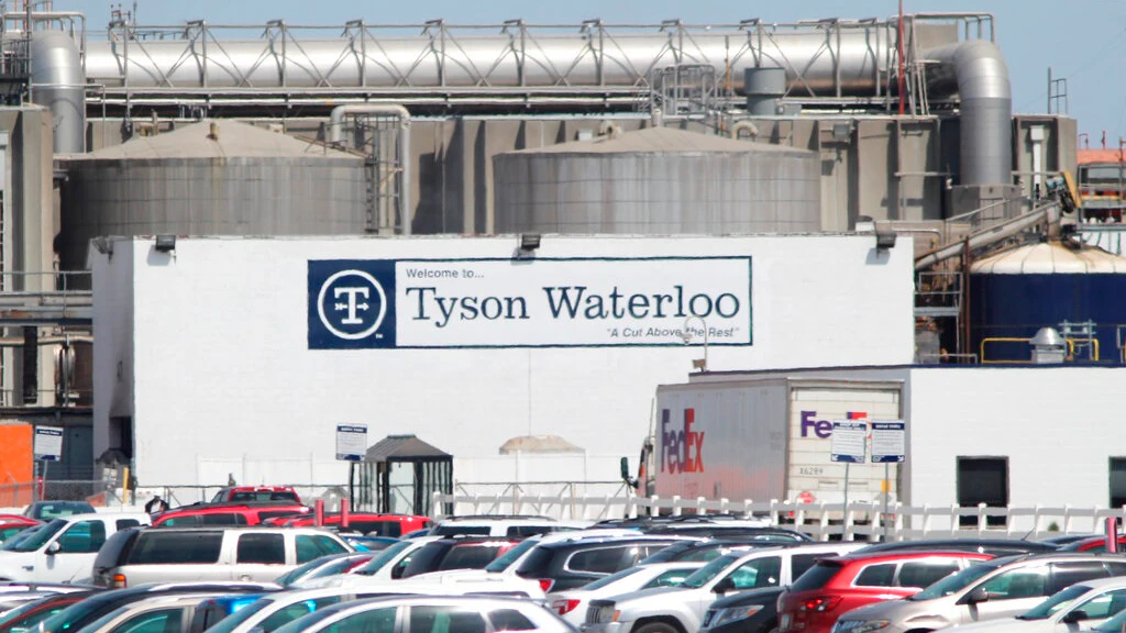 Tyson_Waterloo_AP.5ea04a3eebfb5.5ebd6aa1