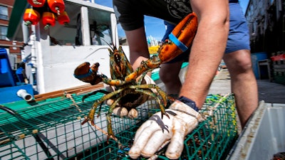 In this May 29, 2020 photo, Eric Pray unpacks a lobster on a wharf in Portland, Maine.