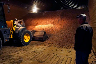 In a March 11 photo, potato farmer Brian Sackett watches as potatoes are moved from a storage bin at his farm in Mecosta, Mich.