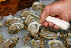 In this Aug. 13, 2013 file photo, oysters are displayed in Apalachicola, Fla.