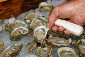In this Aug. 13, 2013 file photo, oysters are displayed in Apalachicola, Fla.