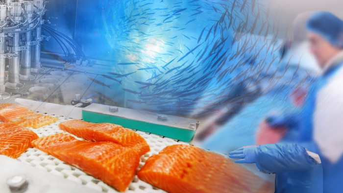 Premio Fish Plant Collage