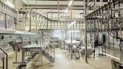 Food Plant D
