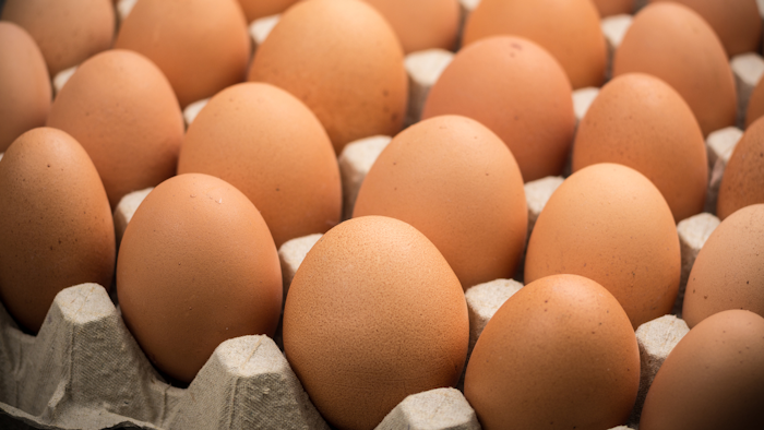 List Of Egg Brands Recalled 2022
