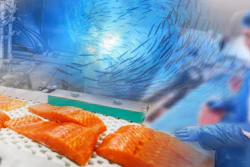 Premio Fish Plant Collage