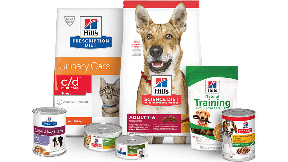 BEST PET FOOD BRANDS YOU MUST CHOOSE FOR YOUR PET