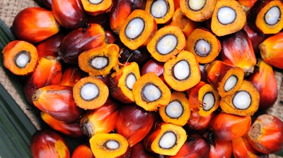 Palm oil seeds.