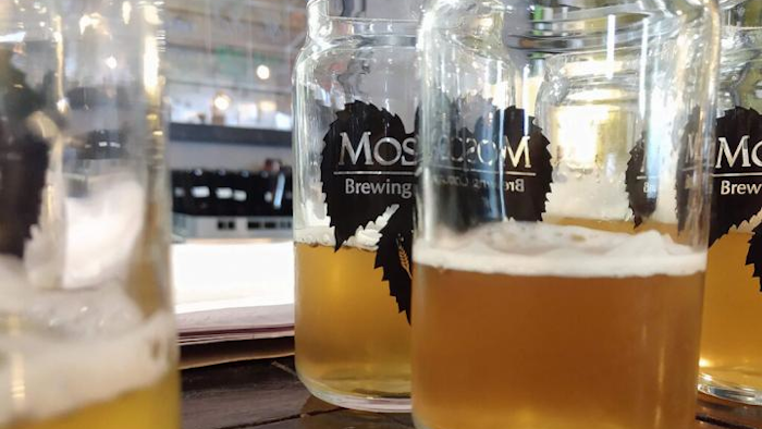 A set of experimental SMaSH beers brewed with a single malt of barley and single hops-- the hops were all the same, but each beer contained a different type of barley.