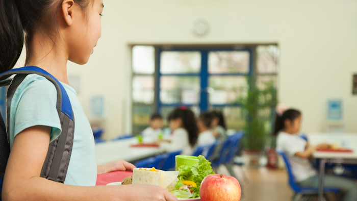 School Lunch I Stock 455188015