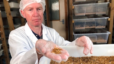Tom Mohan, co-founder of Horizon Insects, holds a handful of Tenebrio molitor larvae, at the company’s London insect farm on June 2, 2021. While insects are commonly eaten in parts of Asia and Africa, they're increasingly seen as a viable food source in the West as Earth’s growing population puts more pressure on global food production. Experts say they’re rich in protein, yet can be raised much more sustainably than beef or pork. Regulatory change has also made things easier for European companies looking to market insects directly to consumers.