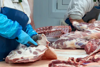 Meat Plant I Stock 1189108072
