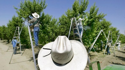 In this May 13, 2004, file photo, a foreman watches workers pick fruit in an orchard in Arvin, Calif. On Monday, July 12, 2021 lawsuits were filed in four California counties seeking potential class-action damages from Dow Chemical and its successor company over a widely used bug killer containing Chlorpyrifos that has been linked to brain damage in children. Chlorpyrifos is approved for use on more than 80 food crops, including oranges, berries, grapes, soybeans almonds and walnuts, though California banned the sales of the pesticide last year and ended spraying this year.
