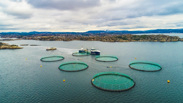 Salmon fish farm. Bergen, Norway.