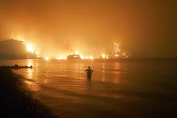 A man watches as wildfires approach Kochyli beach near Limni village, Greece, Aug. 6, 2021.