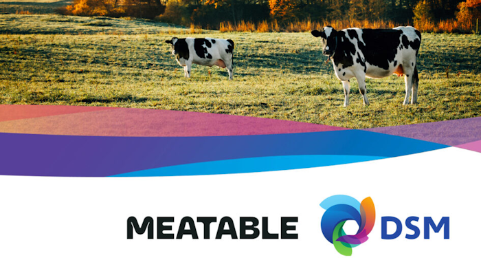 925 01 006 Meatable Logos 2560x1405 Blog 1024x562