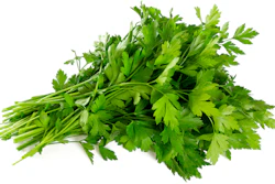 I Stock 1089491274