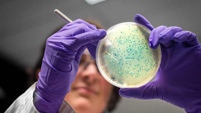 Bacteria Listeria I Stock 1190512184