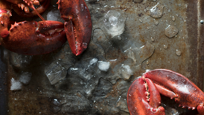 Lobster I Stock 966172050