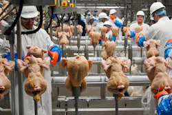 In this Dec. 12, 2019 photo, workers process chickens at a poultry plant, in Fremont, NE.