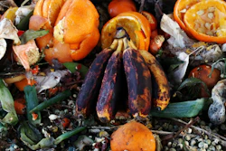 Produce Veggie Waste I Stock 915060238